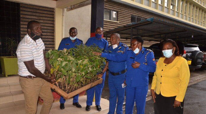 ENVIRONMENT: Making Kenya greener on course