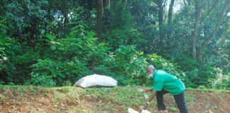 ENVIRONMENT: Kakamega’s waste management woes
