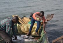 Kenyan fishermen asks EAC to lift movement restrictions in Lake Victoria