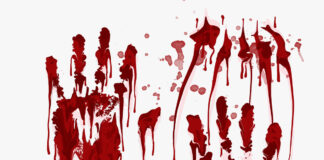 MEDIA REVIEW: What Bleeds no Longer Leads