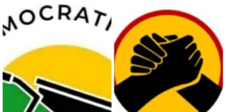 The decline of Jubilee hegemony and progressive rise of UDA in Uhuru’s backyard