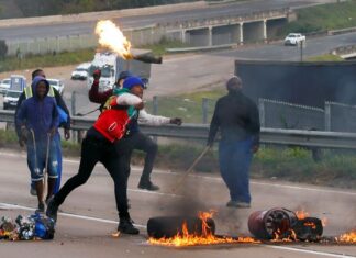 OPINION: South Africa must return from the dogs