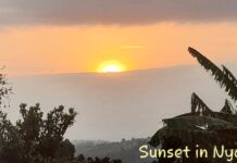 SATIRE: Why Nyagenke’s Chronicler-in-Chief is Troubled this Morning