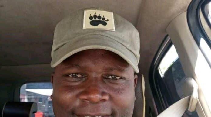 Who is sponsoring cattle rustling in the North Rift?