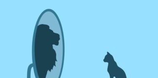 A Brief Exploration of the Ego