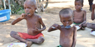 Shall Madagascar wade through climate change?