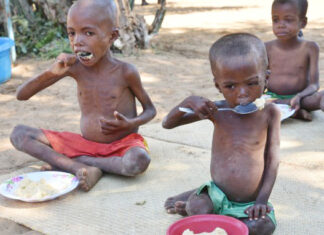 Shall Madagascar wade through climate change?