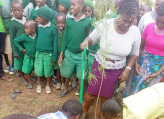 Bank supports conservation efforts in Kitui County