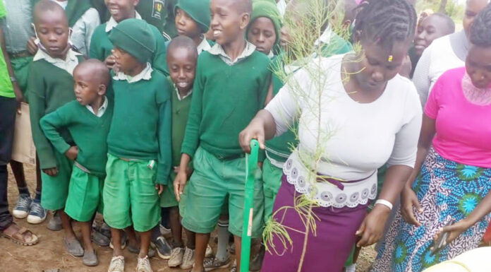 Bank supports conservation efforts in Kitui County