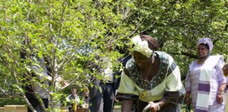 BOOK REVIEW: Replenishing the Earth