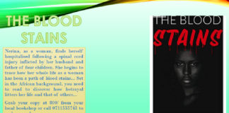 BOOK REVIEW: The Blood Stains