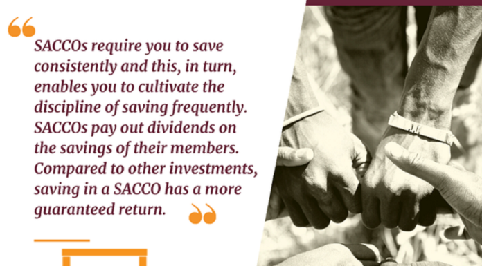 Invest and Grow Sacco gets stronger, 44 years on