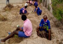 NEMA, KFS, plant trees in Ndumoni primary, Kitui County