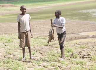 Fast shrinking Kimao Dam levels raise stakeholders’ eyebrows