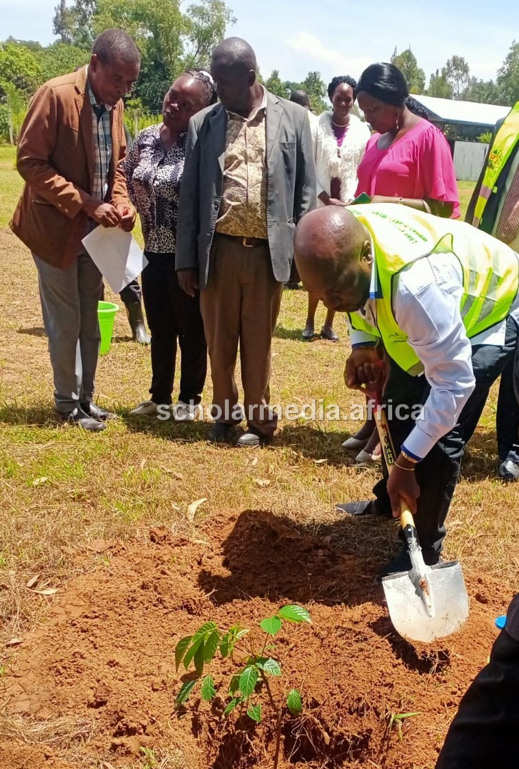 A county official planting a tree at a school in Busia County recently; Busia County's forest cover currently stands at 1.04 percent.
The county government of Busia is undertaking a school Greening Program aimed at increasing the county's forest cover. PHOTO/Gilbert Ochieng, The Scholar Media Africa.
