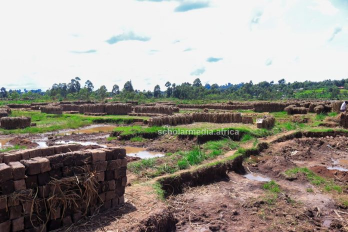 Photo of a section of Sironga wetlands in Nyamira County, where the wetland mining business is thriving as they continue getting exhausted. PHOTO/Arnold Ageta, The Scholar Media Africa.