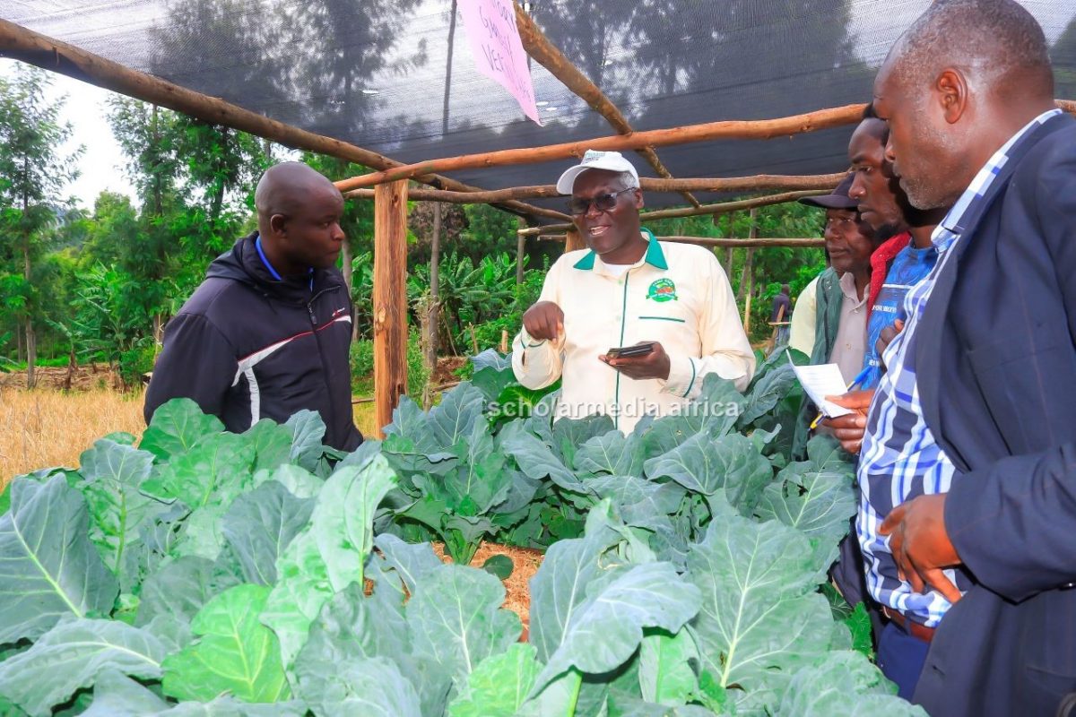 Milton Ongeri, an Extension Officer Nyamira County government, explaining to farmers about the new farming techniques during the Bosinnya CBO Exhibition at Ebate Village in Nyamira County. PHOTO/Arnold Ageta, The Scholar Media Africa.
