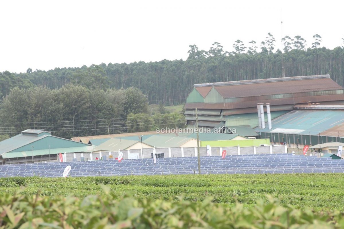 A long short of the Kipkebe 1,300 KW Solar Power project commissioned on February 6, 2023. PHOTO/Dan Nyamanga, The Scholar Media Africa.