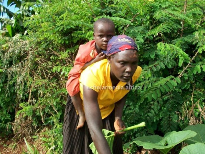 A mother carrying her daughter while attending to her duties in Kisii County. Numerous women in the Gusii region still suffer GBV after resolving to embrace modern family planning and reproductive health decisions. PHOTO/Ben Oroko, The Scholar Media Africa.