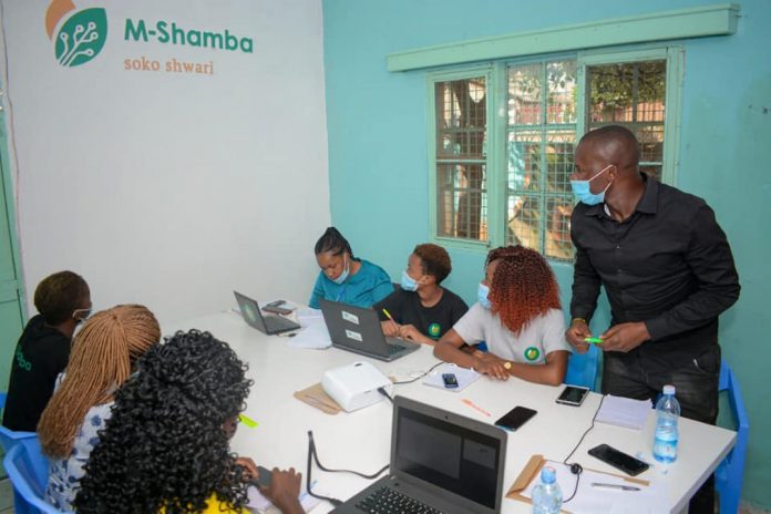 M-shamba staff during an inhouse training. The platform connects farmers to experts and potential buyers for their farm products. PHOTO/ M-Shamba Soko Shwari.