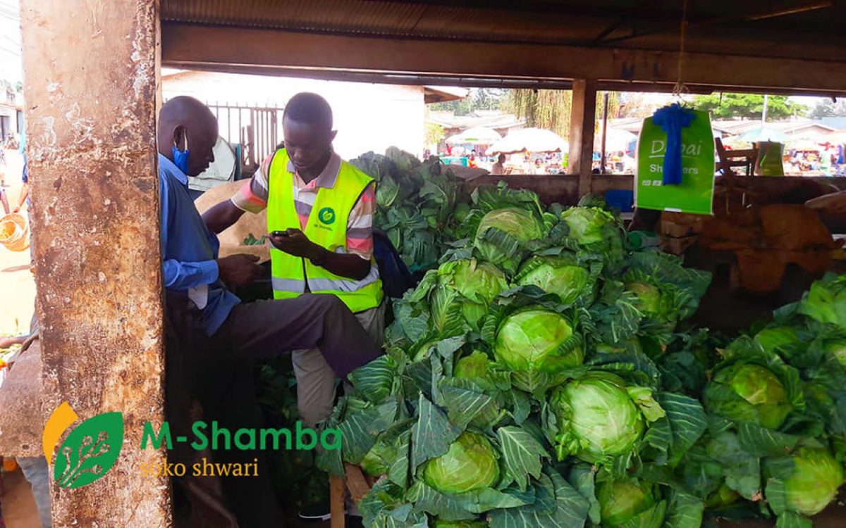 An M-shamba staff guides a businessperson through the registration process on the platform. The innovation has already helped thousands increase their farm produce and sales. PHOTO/ M-Shamba Soko Shwari.