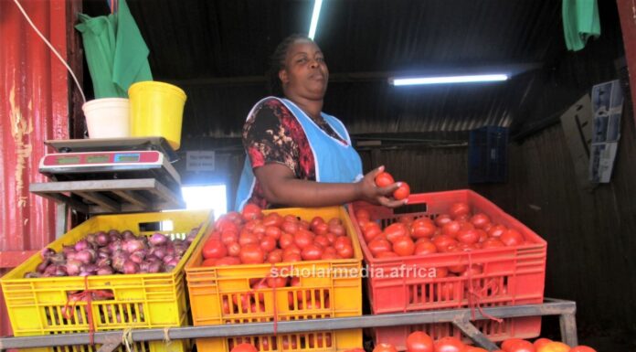 Magdalene’s successful journey from local vendor to owning tomato depot Magdalene Ndung'u, a tomato supplier based in Kisii town. She has three years into the business and says it has been profitable all along. PHOTO/Boaz Khuteka, Scholar Media Africa.
