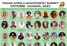 Upcoming Trans Africa Investment Summit to foster Africa-diaspora collaboration