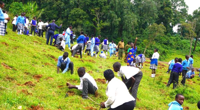 Kaimosi Friends University marks National Elimu Tree Planting Day, leads fight on climate change