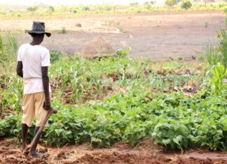 Climate Adaptation and Human Rights in Kenya: Navigating a complex nexus