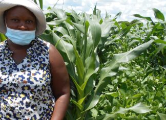 Food Insecurity in Africa: Challenges, causes and comprehensive solutions