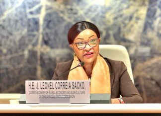 Let’s walk the talk in reviewing Agriculture in Africa, AUC Commissioner makes passionate appeal