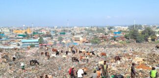 Unraveling the intricacies of Environmental Imperialism in the Global South