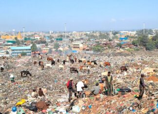 Unraveling the intricacies of Environmental Imperialism in the Global South