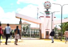 Action, not Promissory Notes: Salvage the Higher Education System in Kenya Now!