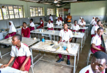 Why Academia Must Adapt or Perish