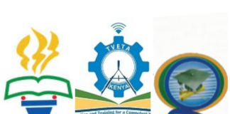 Merging TVETA, CUE, and KNQA: A Big Miscalculation for Kenya