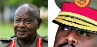 Unfolding of Power: A Reflection on Succession and the Cycles of Leadership