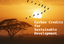 Beyond Carbon Credits: Harnessing Kenya’s Biodiversity for Sustainable Climate Finance