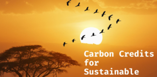 Beyond Carbon Credits: Harnessing Kenya’s Biodiversity for Sustainable Climate Finance